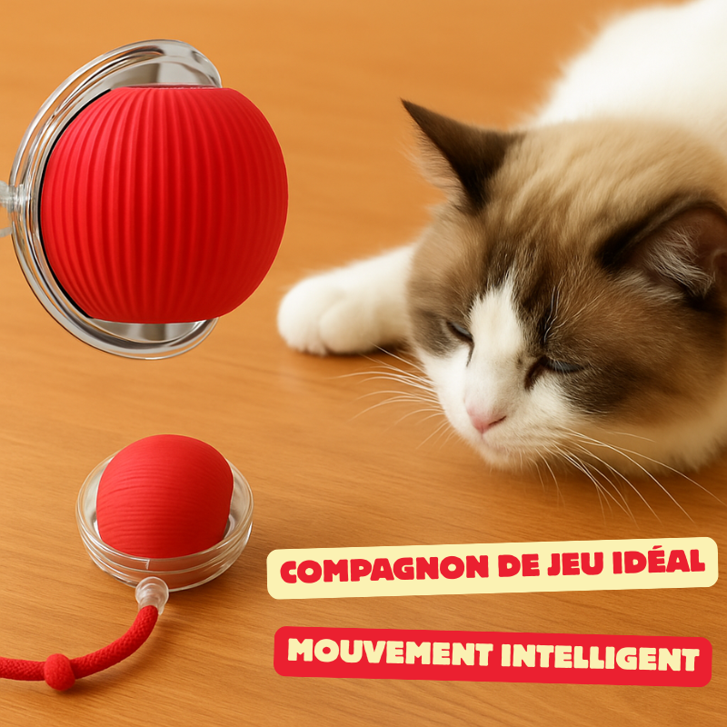 Balle pour chat